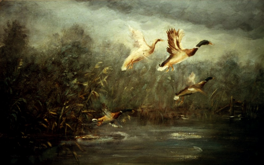 L-Enten_am_Schwarzenmoor.jpg
